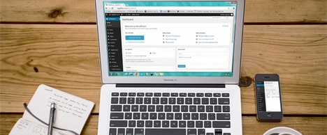 CMS：您的内容管家
