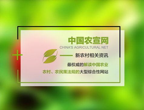 中国农宣网