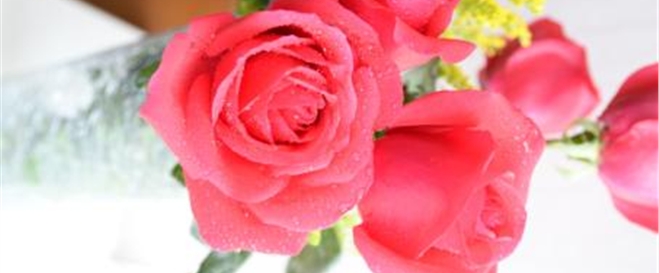 怎样让字体显示在透明背景之上