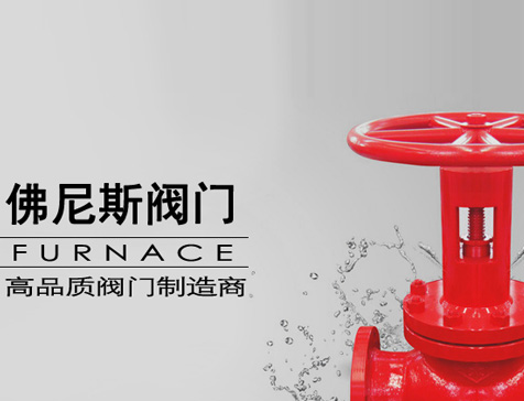 佛尼斯阀门