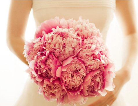 爱特诺婚礼策划