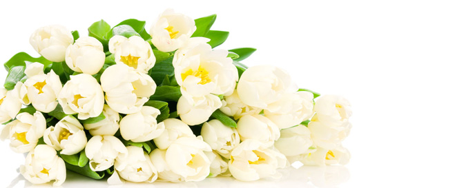 IMG标记的alt属性和title属性详解