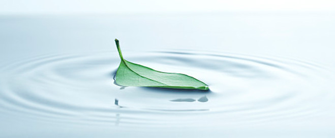 如何闭合浮动元素