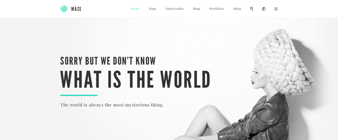 网站类型有哪些？