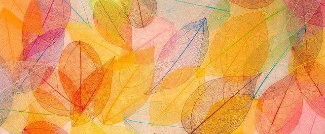 利用色彩来吸引用户