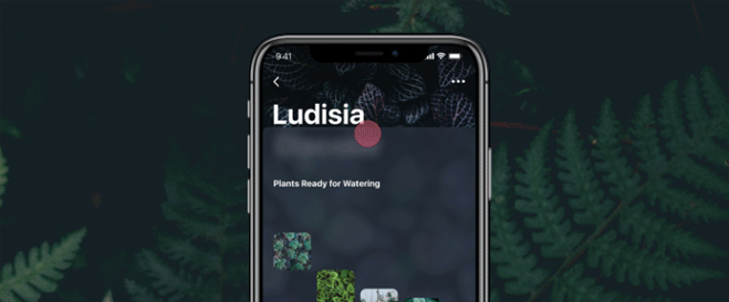 APP怎么使用动效设计