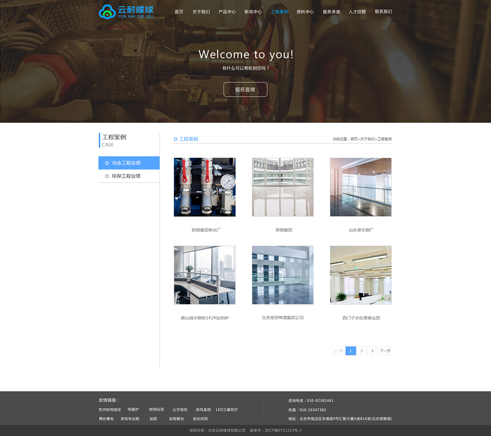 云耐蝶球-网站案例效果图
