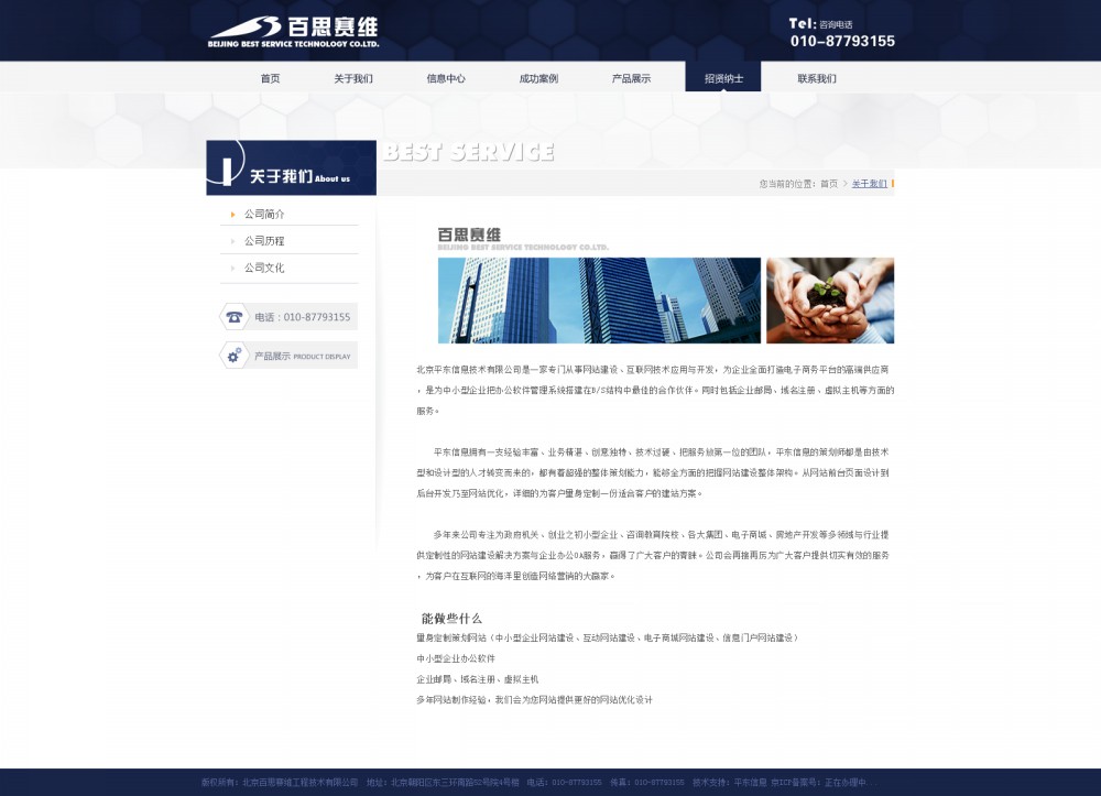 百思赛维-网站效果图