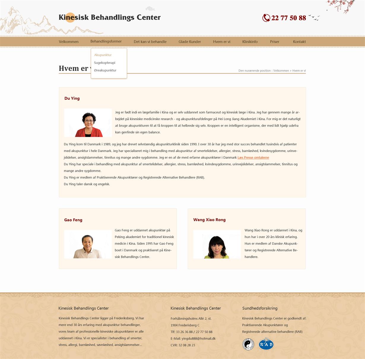 中国治疗中心（丹麦语）-子页效果图